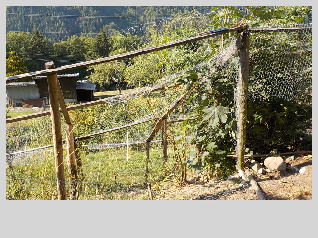 Association Randonner Travailler, le Chablais