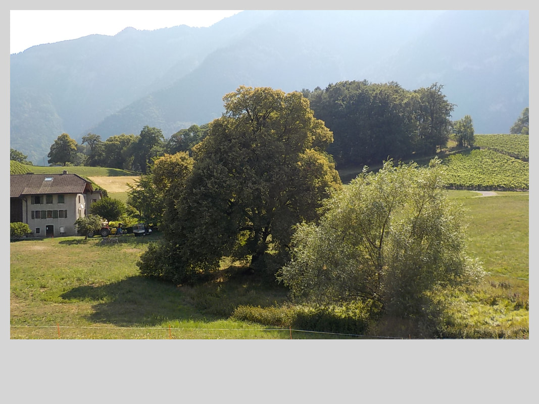 Association Randonner Travailler, vallée du Rhône