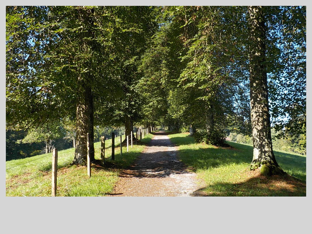 Association Randonner Travailler, Compostelle, Lucerne